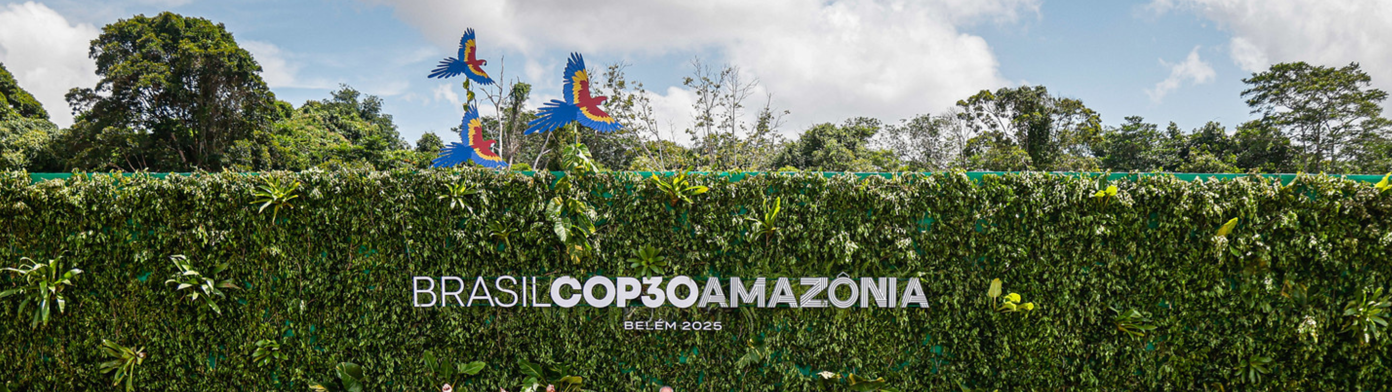 Neoenergia e BEI anunciam acordo de financiamento verde de 300 milhões de EUR para modernizar a rede elétrica da Bahia