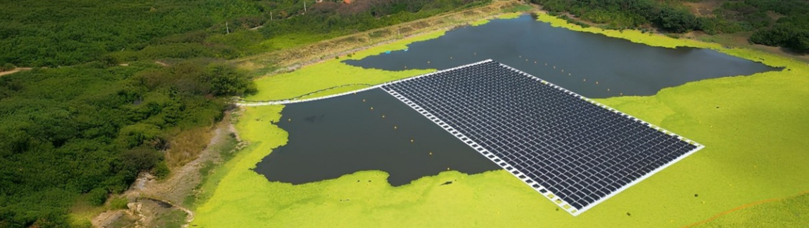 Neoenergia lidera o setor de energia e está entre as empresas mais bem avaliadas do Brasil em sustentabilidade, segundo a Kantar
