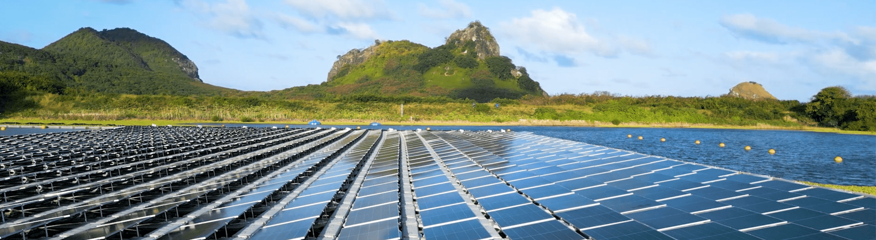 Neoenergia é reconhecida por evolução em sustentabilidade